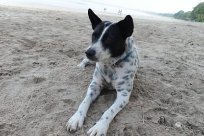 A Life Reminder In the Sand